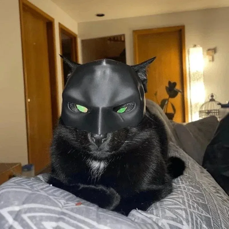 Máscara de Gato Vengador Impre - 3D Printing Foto reseña y precio